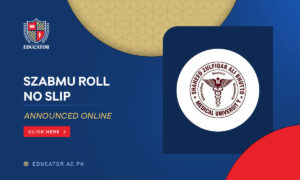 SZABMU Roll No Slip 2024 MDCAT Announced Online - Educator.ac.pk